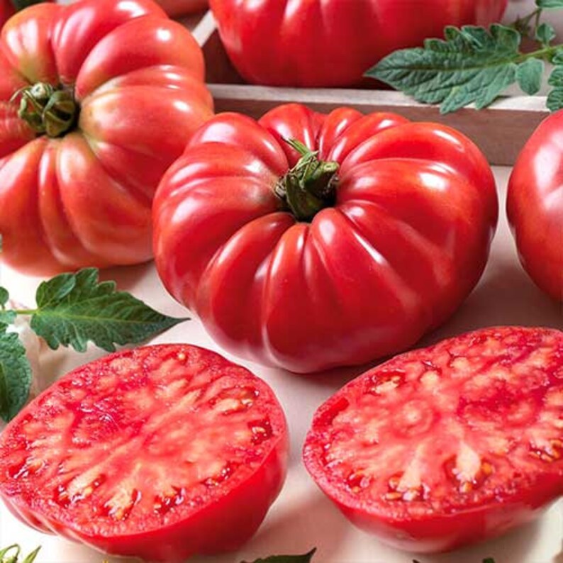 180 GRAINES DE TOMATE RARES EN MÉLANGE 12 VARIÉTÉS