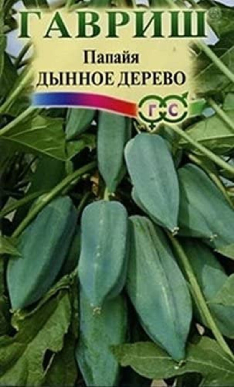 Семена Редких Тропических Растений Купить