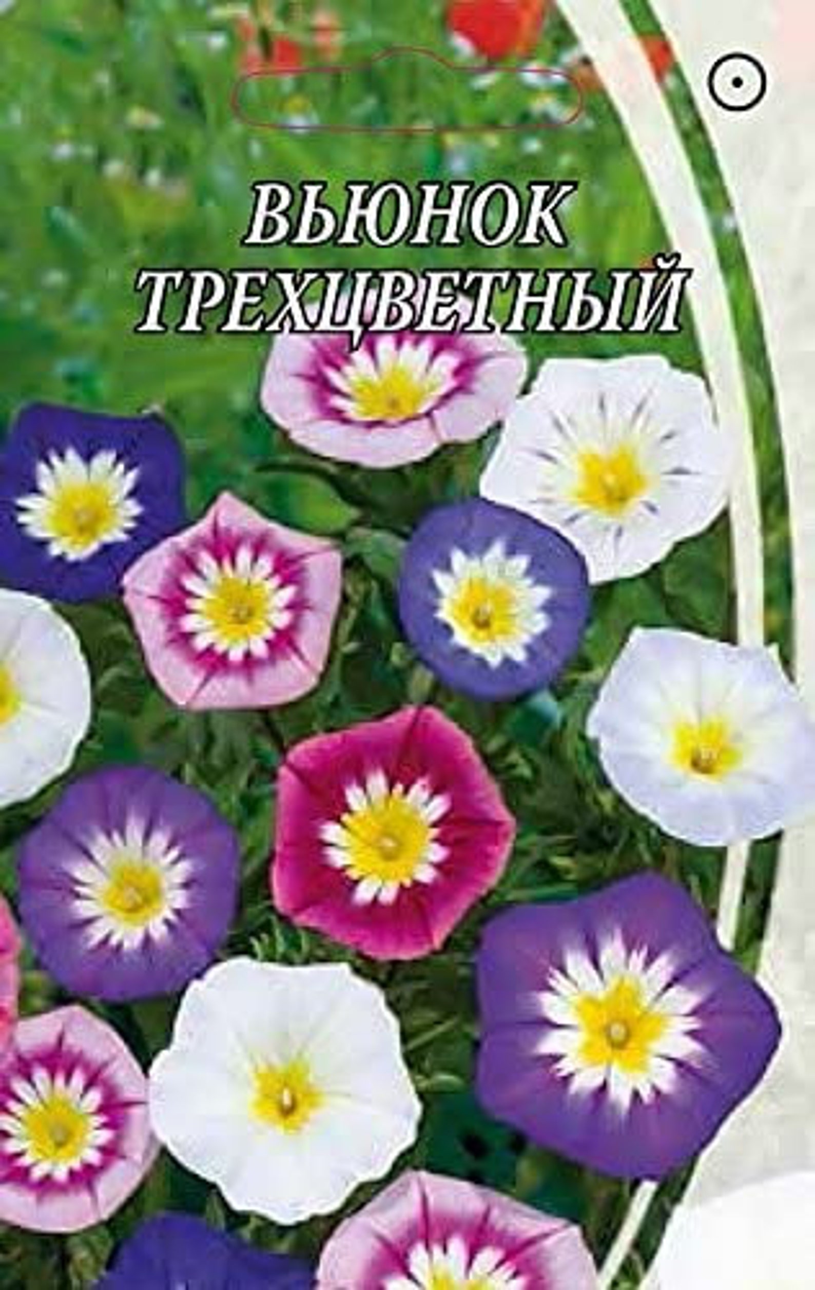 Семена Украины вьюны цветы пачка