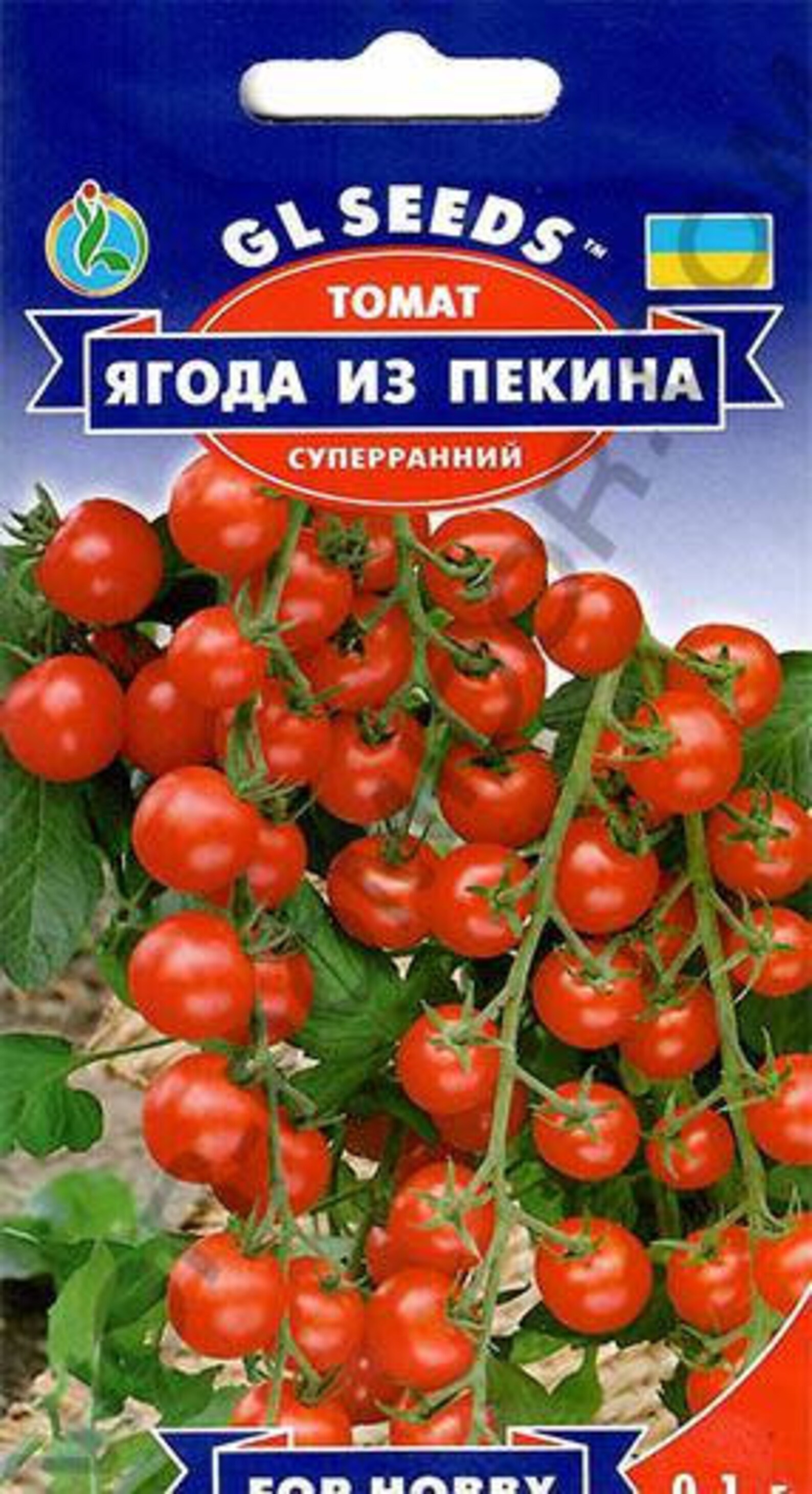 Rare Organic Seeds Tomato Berry from Beijing red tomatoes. Etsy