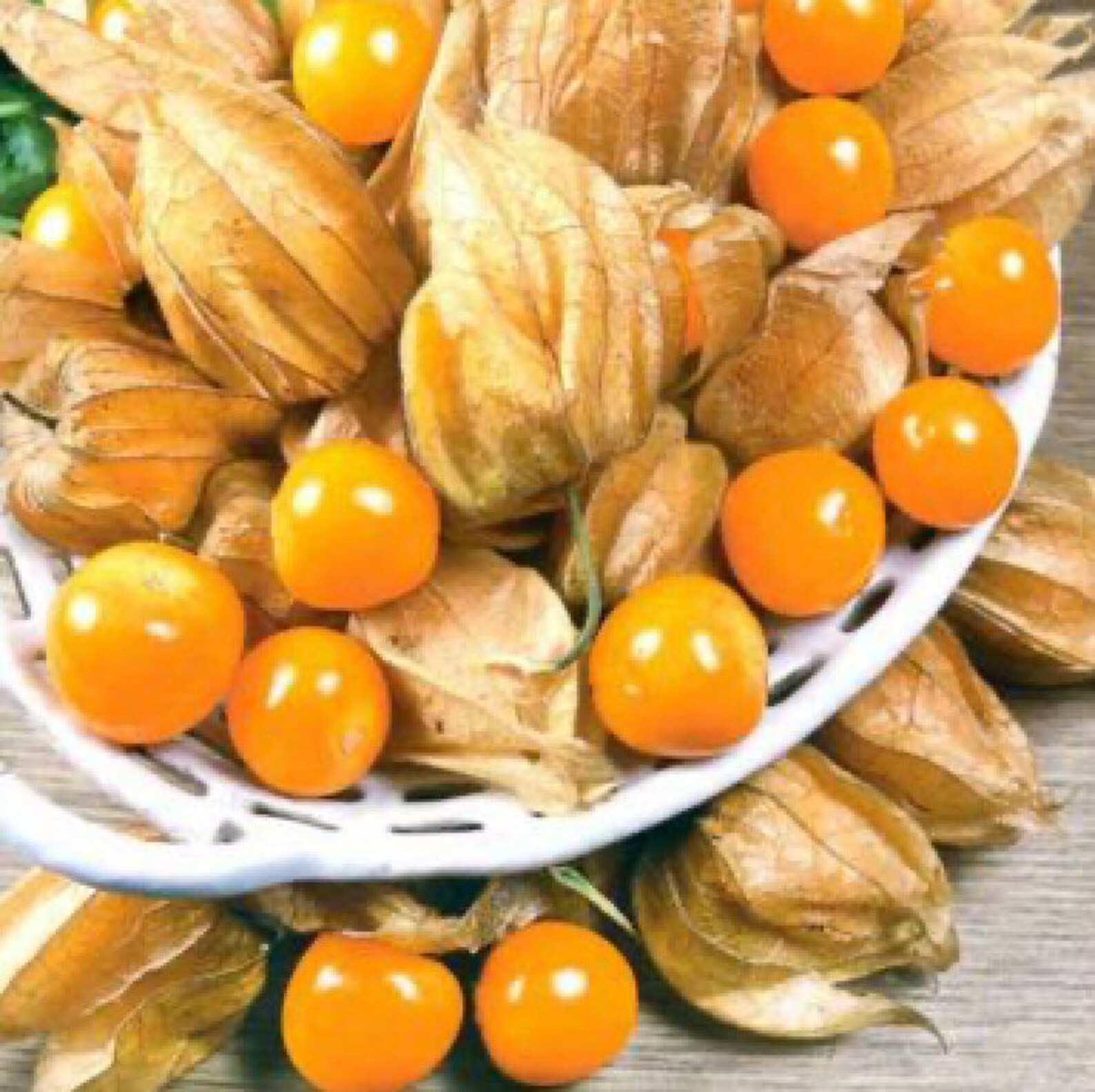 Organic Vegetable Tomatillo Seeds Physalis strawberry Etsy