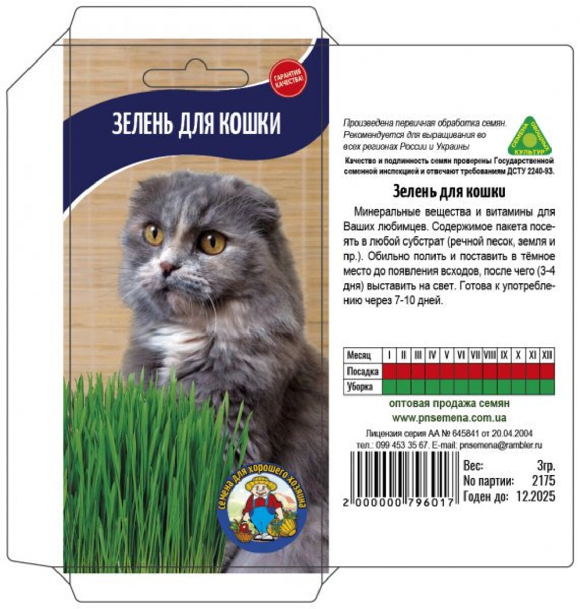 Rare Original Seeds Greens For Cats. Grass. Etsy