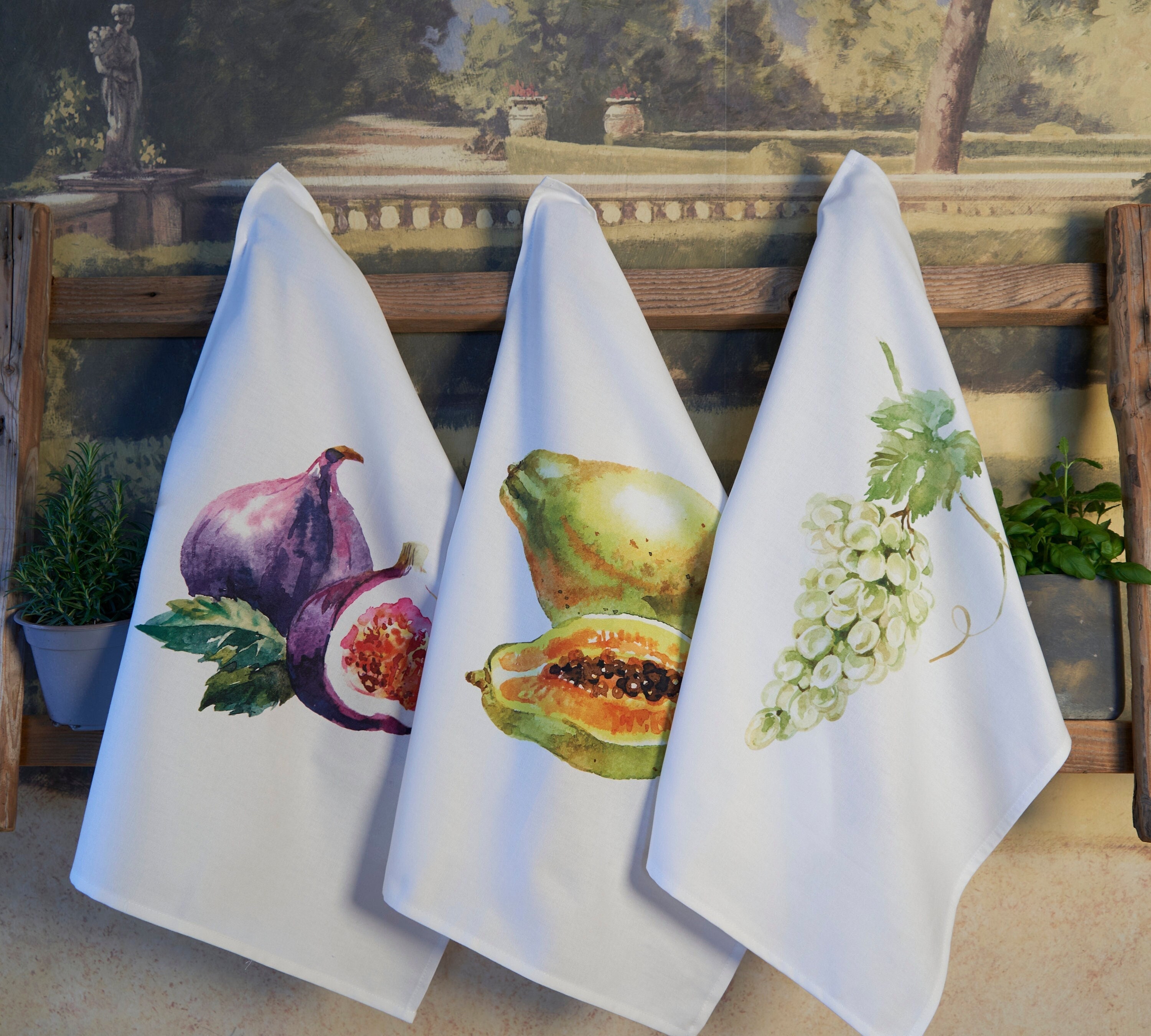 Soft Cotton Kitchen Towel for Chef Mother Set of 4 Modern 