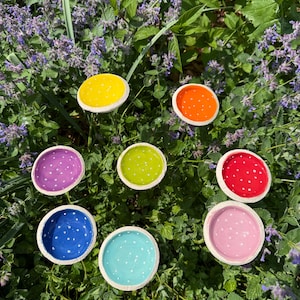 Könnte beinhalten: Eine Sammlung von acht kreisförmigen, schalenartigen Gartenornamenten in verschiedenen Farben wie Gelb, Orange, Lila, Limettengrün, Rot, Dunkelblau, Hellblau und Pink. Jedes Stück hat einen weißen Rand und kleine weiße Punkte auf der Innenseite.