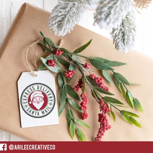 May include: A white gift tag with a green and red circle design featuring a cartoon Santa Claus with the text "Express Delivery Santa Mail". The tag is tied with twine and is hanging from a sprig of green leaves with red berries.