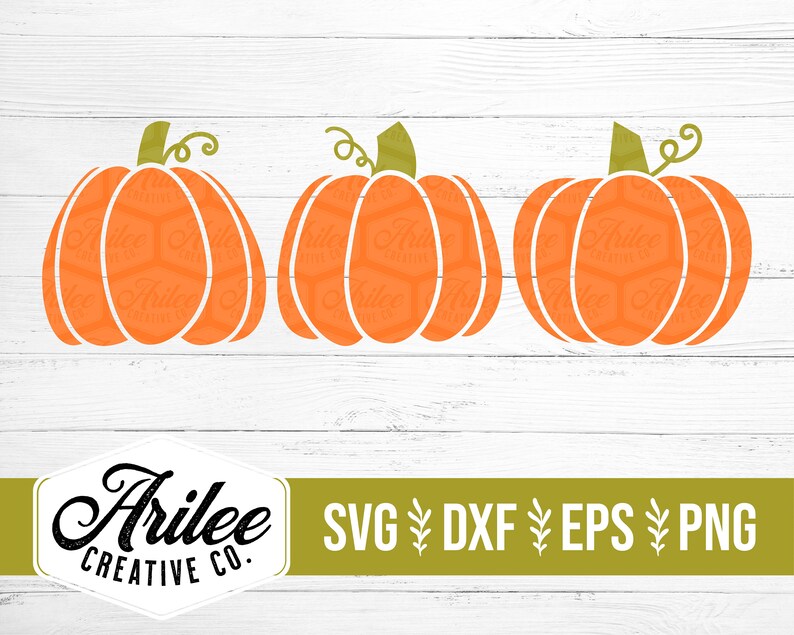 Peut inclure: Trois citrouilles orange avec des tiges et des feuilles vertes sur un fond de bois blanc. Le texte "Arilee Creative Co." est en bas de l'image. Le texte "SVG, DXF, EPS, PNG" est en bas de l'image.