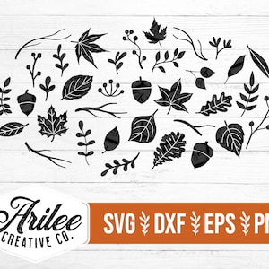 Fall Foliage SVG - Fall Leaves SVG Bundle - Autumn Leaves SVG - Fall Svg Bundle - Foliage Svg Bundle - Leaf Clipart Bundle - Acorn Svg