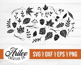 Feuillage d’automne SVG - Feuilles d’automne SVG Bundle - Feuilles d’automne SVG - Fall Svg Bundle - Feuillage Svg Bundle - Leaf Clipart Bundle - Acorn Svg