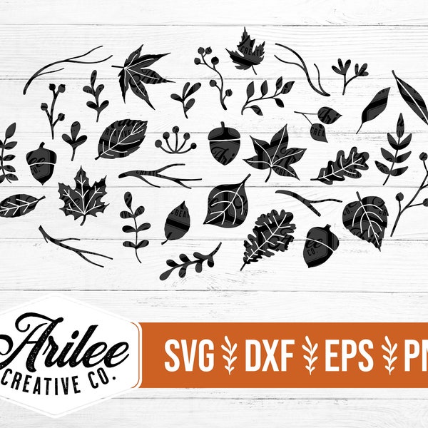 Fall Foliage SVG - Fall Leaves SVG Bundle - Autumn Leaves SVG - Fall Svg Bundle - Foliage Svg Bundle - Leaf Clipart Bundle - Acorn Svg