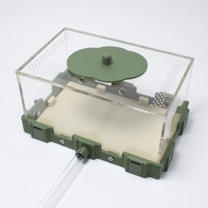 Large Outworld | Ant Keeping | Formicarium | Ant Keeping Hobby