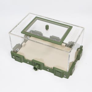 Large Outworld | Ant Keeping | Formicarium | Ant Keeping Hobby