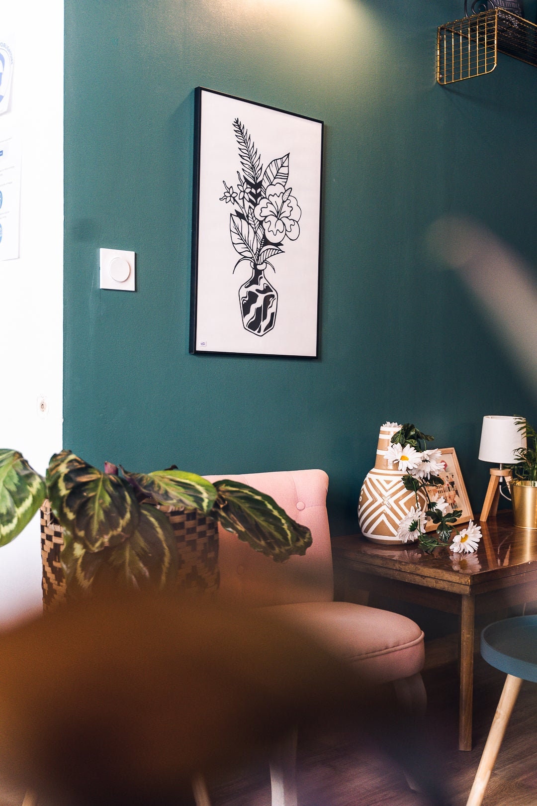 Illustrations Plante Noire