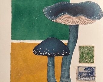 Mushrooms Collage