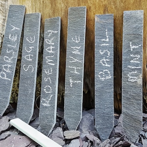 Puede incluir: Seis marcadores de plantas de pizarra con escritura de tiza blanca. Los marcadores están etiquetados como "Perejil", "Salvia", "Romero", "Tomillo", "Albahaca" y "Menta".