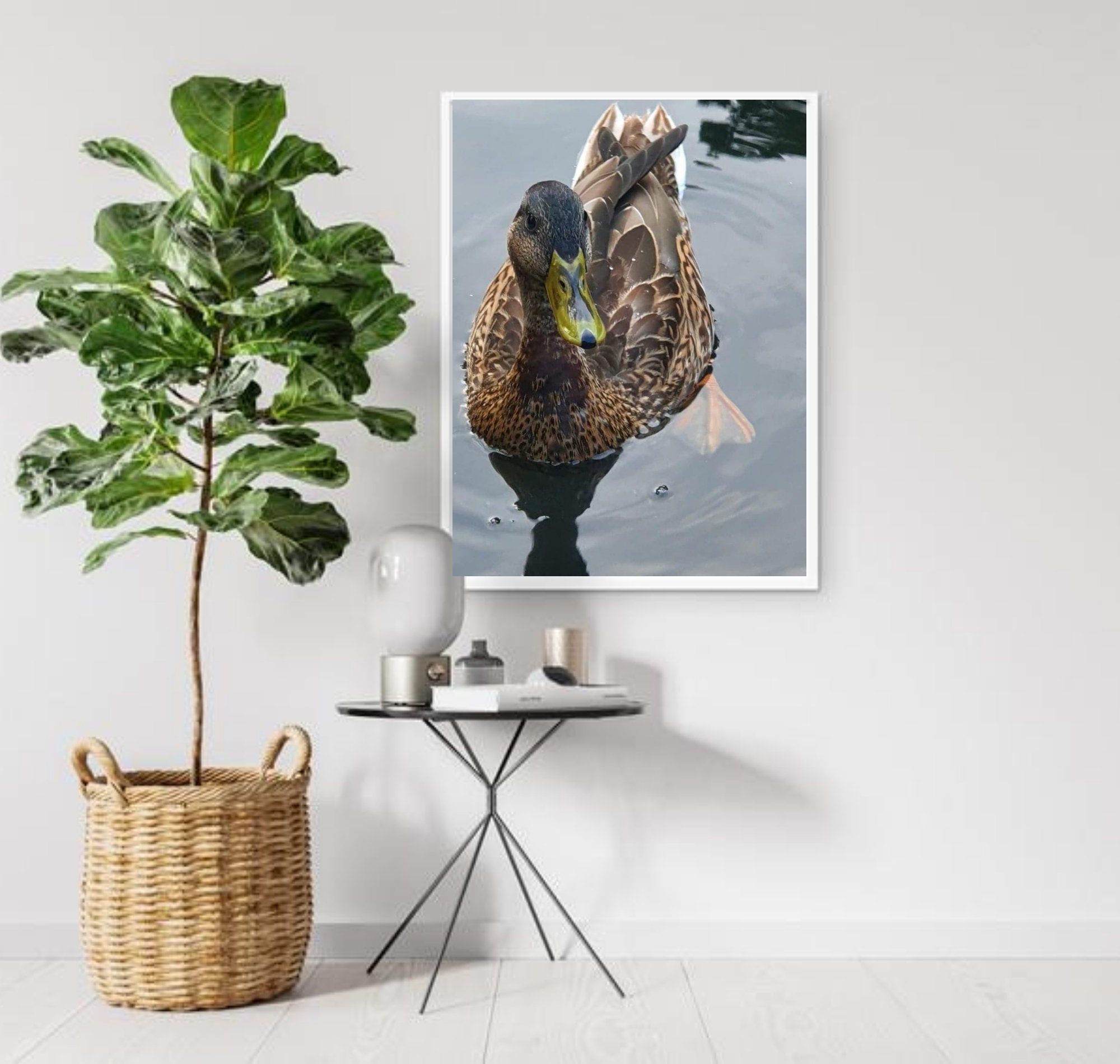Duck Print Duck Photography Duck Wall Decor Brown Duck Etsy