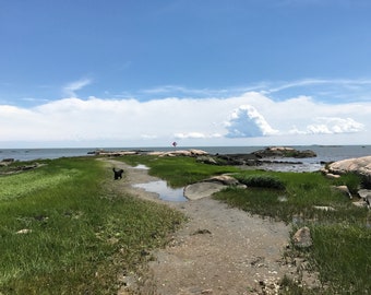 CT Shoreline-fotonotitiekaarten