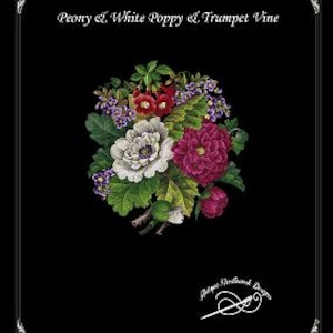 May include: A cross-stitch embroidery pattern featuring a bouquet of pink and white peonies, white poppies, and trumpet vine flowers. The pattern is titled "Peony & White Poppy & Trumpet Vine" and includes a needle and thread.