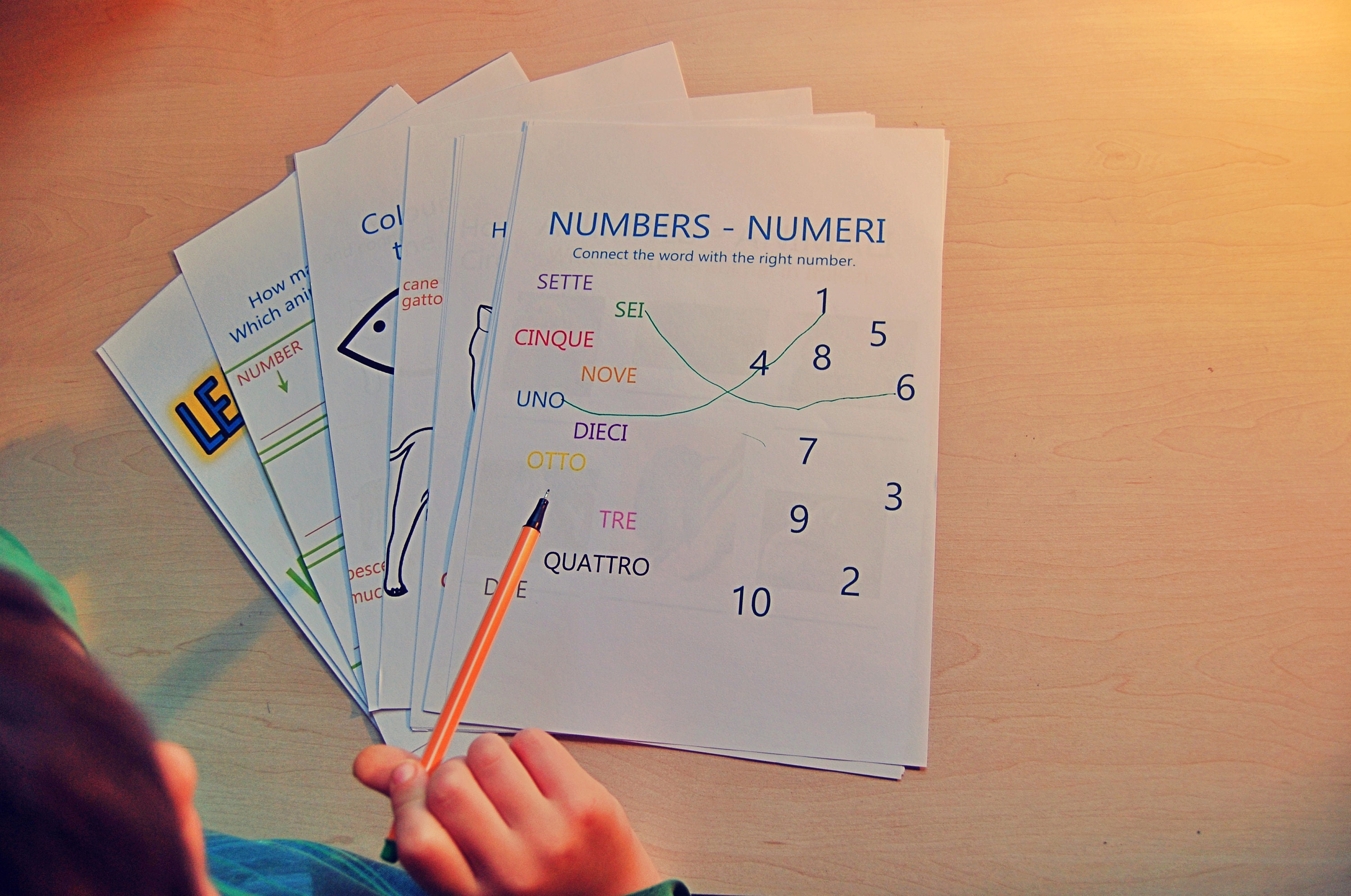 Learn italian at home printable workbook for kids etsy