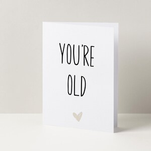 You&#39;re Old Funny Birthday Greetings Card, Birthday Gift, Funny Birthday Card, Card For Her, Card For Him, A6 Card, Funny Birthday Card
