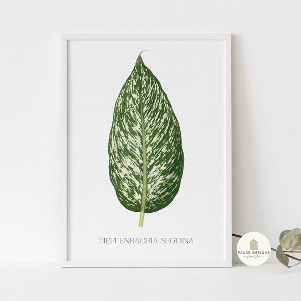 Botanical Green Dieffenbachia Seguina Leaf Wall Art Print | UNFRAMED PRINT | Botanical Wall Art | Home Décor | Living Room | Bedroom