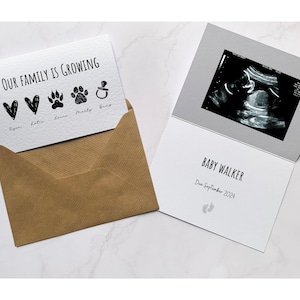 Our Family Surprise Pregnancy Baby Announcement, Personalised Family and Pet Custom Card | Baby Reveal Idea | Include Dog Cat Rabbit Horse