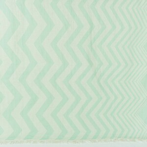 May include: A light green and white chevron patterned throw blanket with a fringe border.