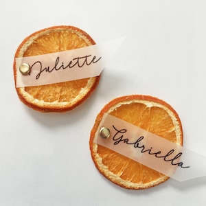 Dried Orange Place Cards