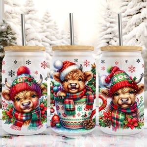 Christmas Baby Cute Highland Cow 16oz Libbey Frosted Glass Can Wrap Tumbler Design a sublimazione, tazza di Natale, download PNG