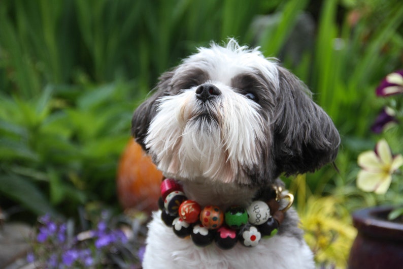 MARDIS Gras Hand Painted WOOD Bead Dog Collars Solid BRASS Etsy