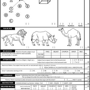 NP Physical exam notes