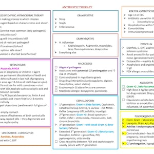 May include: A colorful chart outlining antibiotic therapy principles, including information on gram-positive and gram-negative bacteria, different types of antibiotics, and potential side effects. The chart also includes a section on risk factors for antibiotic resistance.