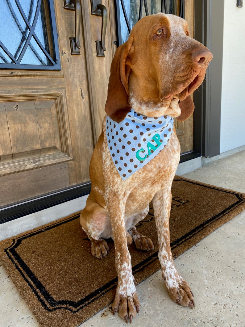 Reversible Over the Collar nautical /& red polka dots DOG bandana Customizable