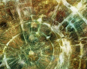 Cycle of life tree-ring abstract canvas gallery wrap for nature lovers