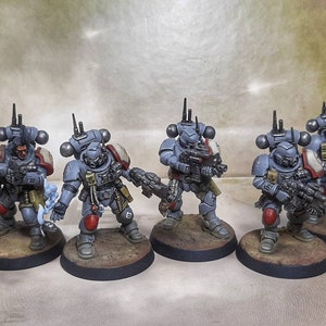 Space Wolves Primaris Infiltratoren