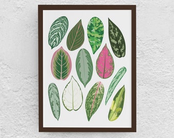 Types of Aglaonema Plant Species Art Print, Houseplant Lover Artwork Wall Decor, Green thumb Botanical, Nature Indoor garden, Plant jungle