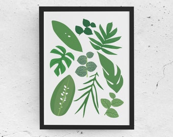 Types of Rhaphidophora Plant Species Art Print, Houseplant Lover Artwork Wall Decor, Green thumb Botanical, Nature Indoor garden Plant theme