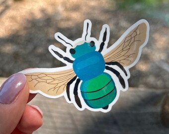 Peacock Bee Vinyl Sticker | Laptop Waterbottle decal | Botanical Nature Garden | Gardener woods bird watcher | Tumbler ipad tablet