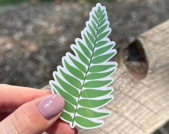 Fern Frond Houseplant Vinyl Sticker | Laptop Waterbottle decal | Botanical Nature Garden | Tropical Plant Leaf | Plant Lover |