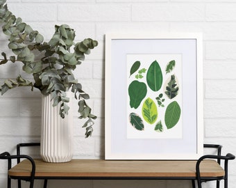 Types of Ficus Plant Species Art Print, Houseplant Lover Artwork Wall Decor, Green thumb Botanical, Nature Indoor garden, Plant theme jungle