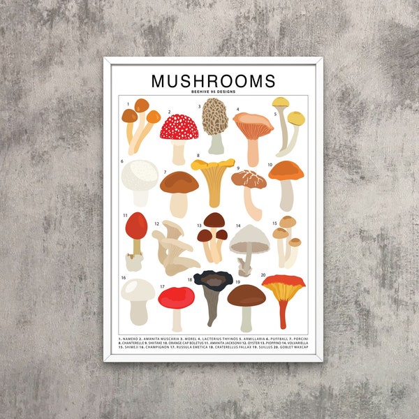 Mushrooms Species (Large) Art Print | Botanical Artwork Wall Decor | Forest Forage Plant Identification | Plant Fungi ID Chart Foliage