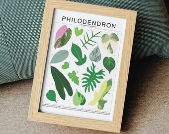 Philodendron Plant Species (Small) Art Print | Houseplant Artwork Wall Decor | Tropical Plant Identification | Plant Leaf ID Chart