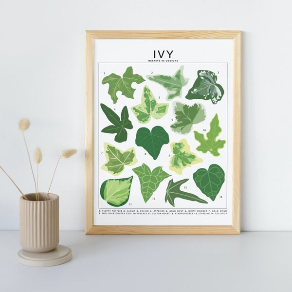 Ivy Species ID (Small) Art Print | Botanical Houseplant Artwork Wall Decor | Tropical Plant Identification | Plant Leaf ID Chart