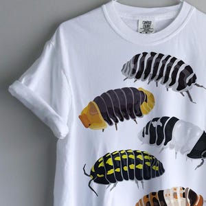 Może przedstawiać: Biały t-shirt z krótkim rękawem z nadrukiem graficznym przedstawiającym pięć różnych stonóg. Owady są ukazane w różnych wzorach kolorystycznych, w tym w czarno-białe, żółto-czarne oraz pomarańczowo-białe paski.