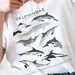 see more listings in the T-Shirts - ID Charts section