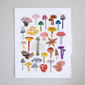 Types of Fungi Plant Species Art Print, Botanical Mushroom Wall Decor | Forest Forage Plant Identification | Plant shroom ID Chart Foliage