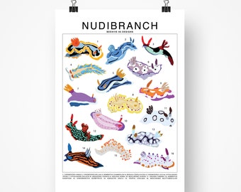 Nudibranch Species (Small) Art Print | Sea Creature Artwork Wall Decor | Sea Slug Identification | Marine Biology Animal ID Chart