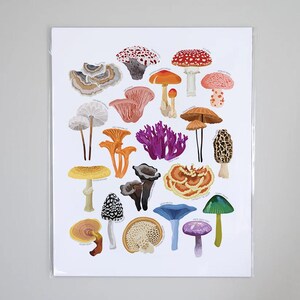 May include: A botanical print featuring a variety of colorful mushroom illustrations. The mushrooms are depicted in various shapes and sizes, with detailed caps and stems. The print includes a range of colors, including red, orange, purple, and green.