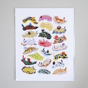 Types of Sea Slugs Species Art Print, Ocean Artwork Wall Decor | Underwater marine creatures nudibranch Identification