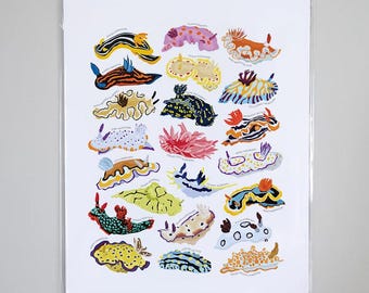 Types of Sea Slugs Species Art Print, Ocean Artwork Wall Decor | Underwater marine creatures nudibranch Identification