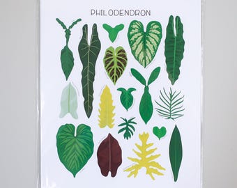 Philodendron Varieties - Plant Identification Chart - Digital Download -  Etsy